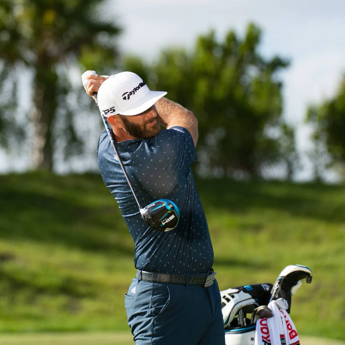 LA Golf DJ Signature Series Wood Shaft - Image 2
