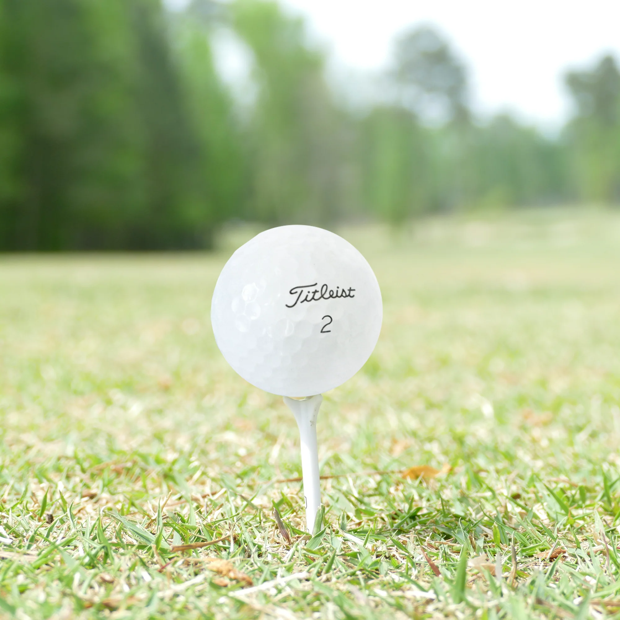 Used Titleist 2025 Pro V1 Golf Balls - 1 Dozen - Image 2