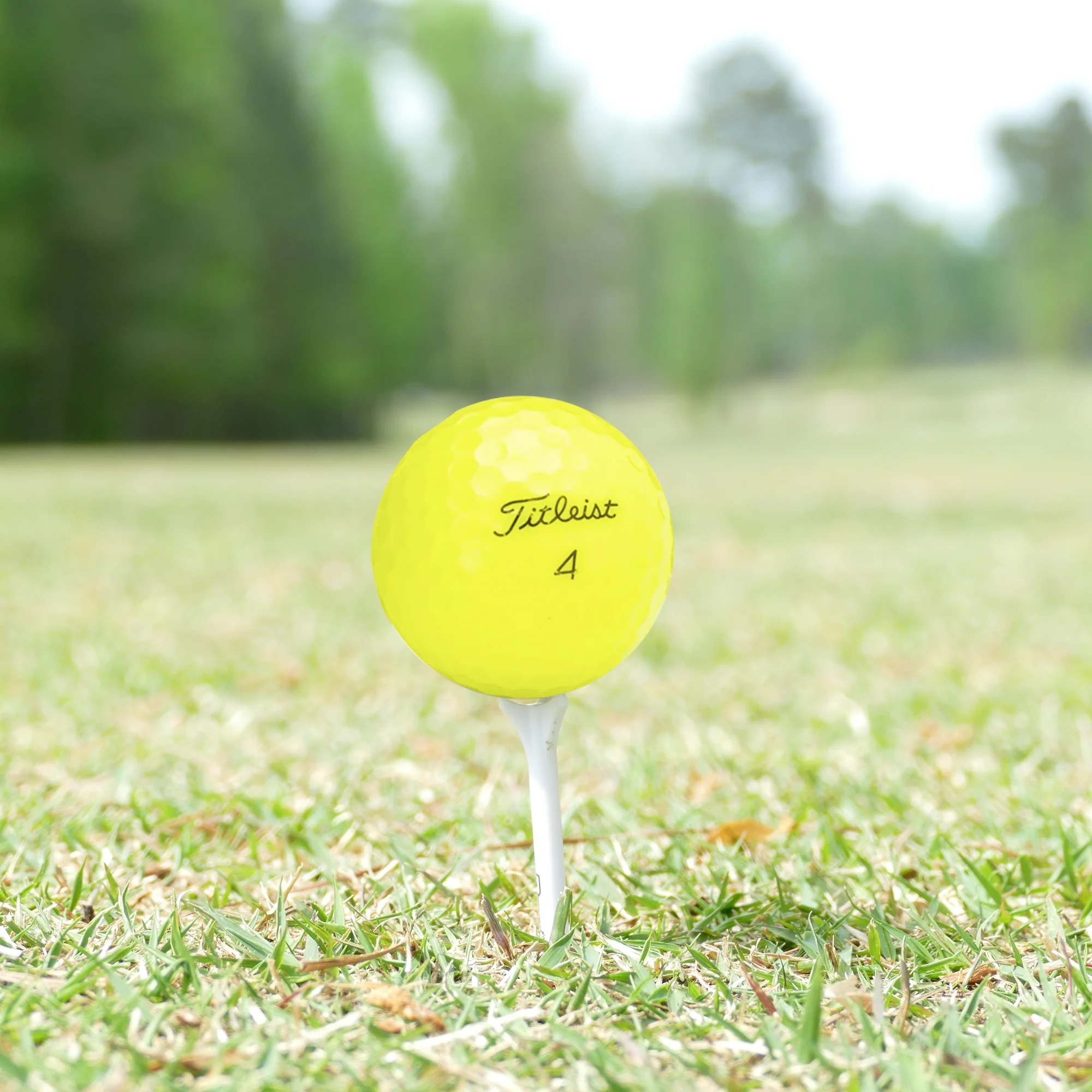 Used Titleist AVX Golf Balls - 1 Dozen - Image 5
